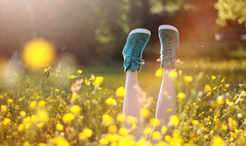 Дорогие преподаватели и студенты!